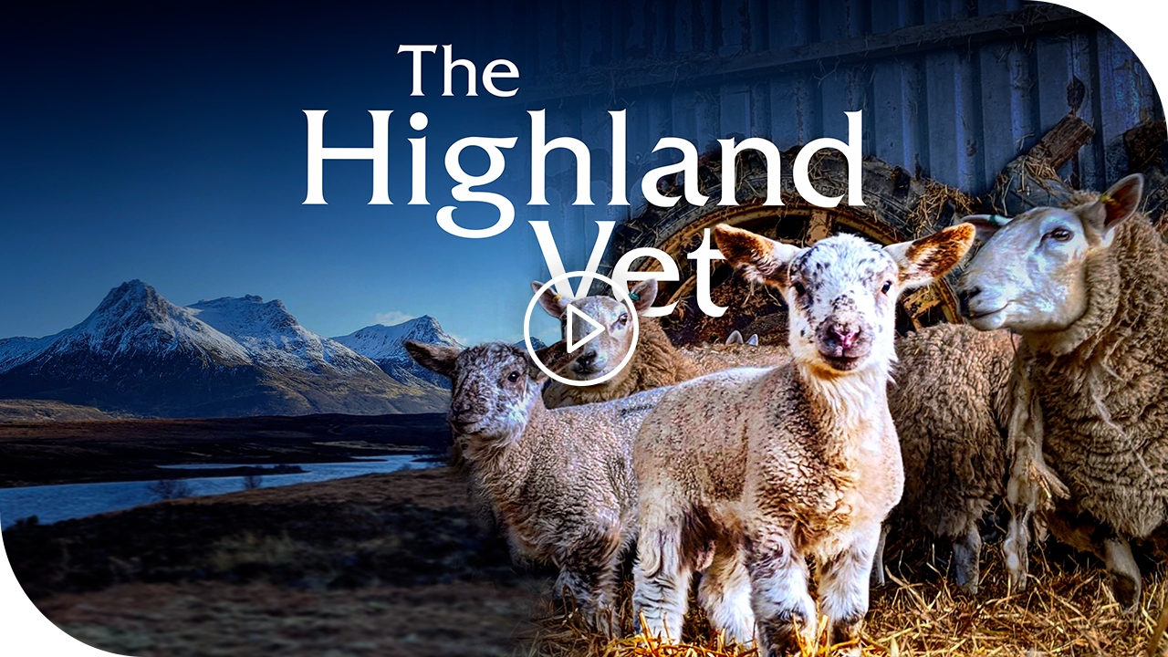 The Highland Vet eOne Screenings C21Media