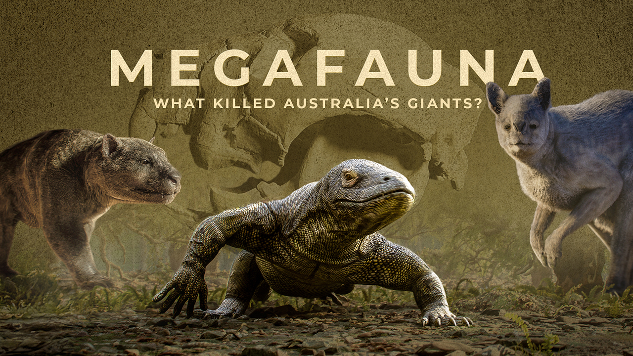 “Megafauna:
