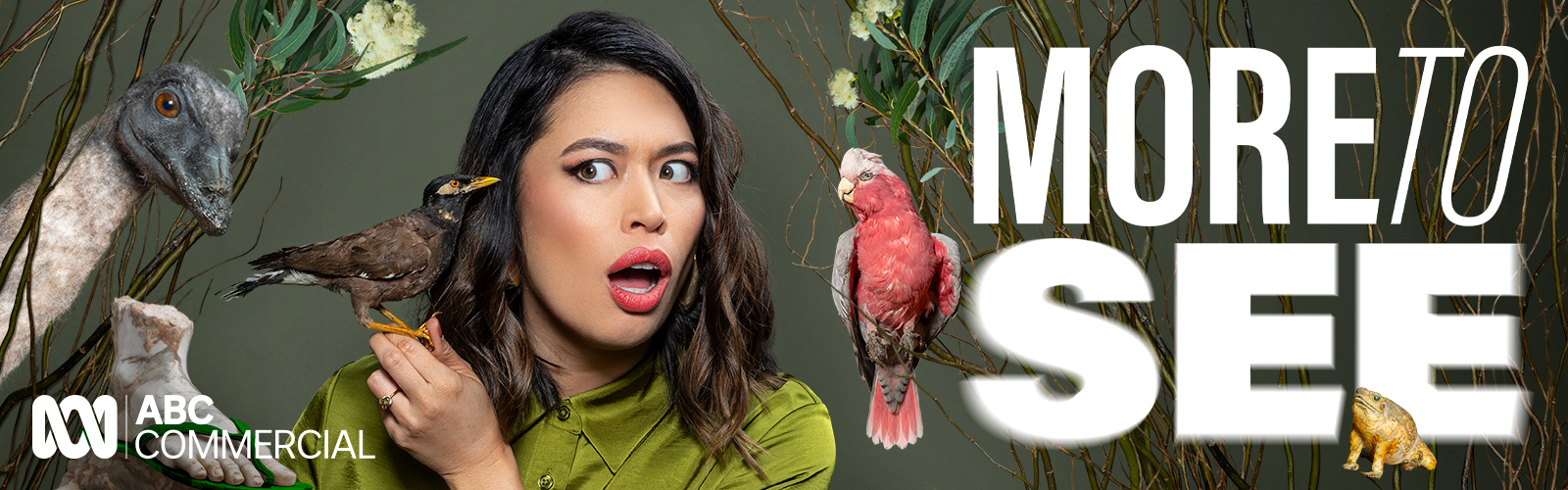 ABC Commercial - Suite banner - April 2026