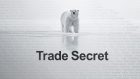 Trade Secret: The Polar Bear Market