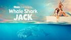 Whale Shark Jack