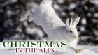 Christmas in the Alps