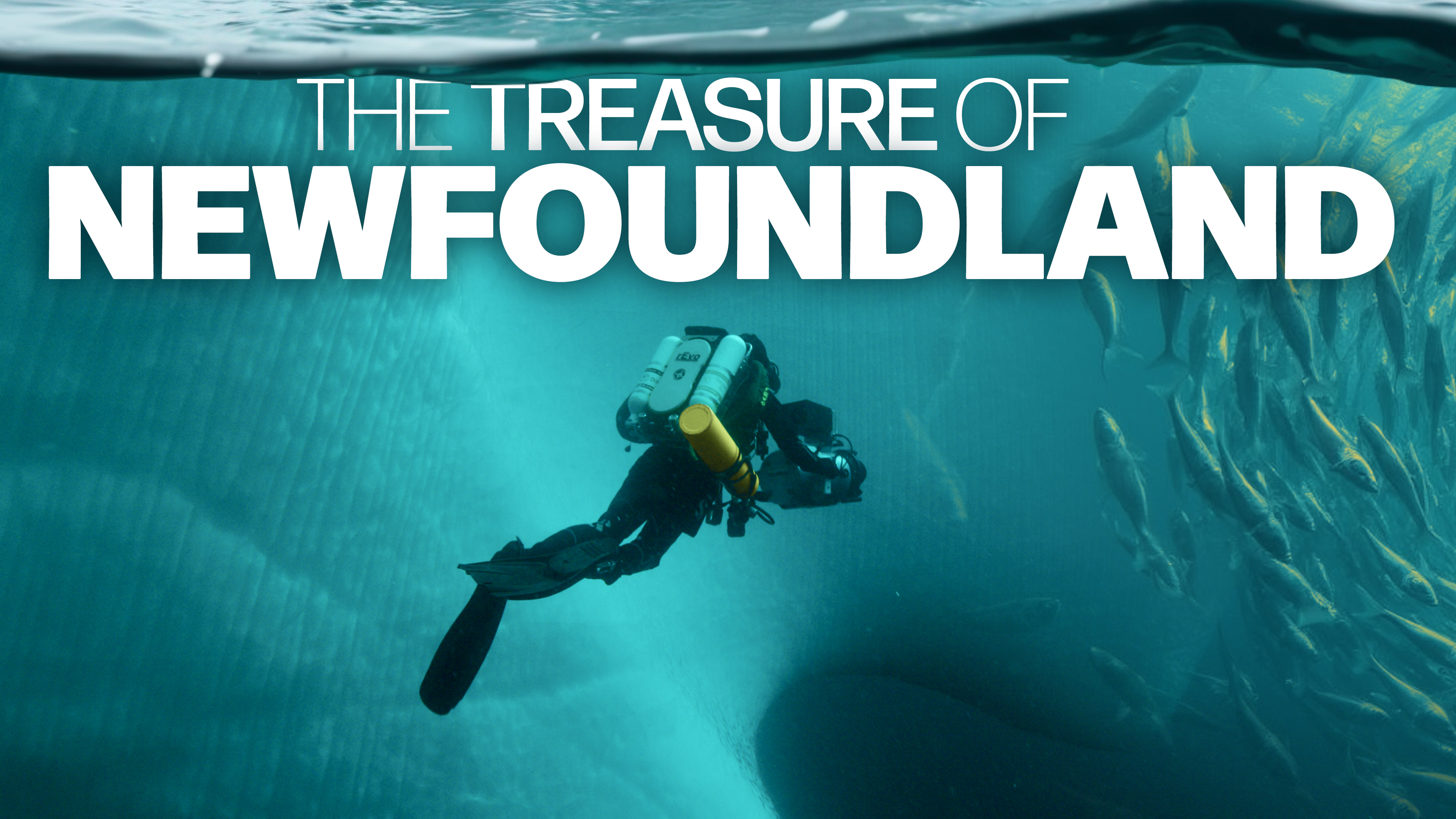 The Treasure of Newfoundland