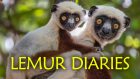 Lemur Diaries